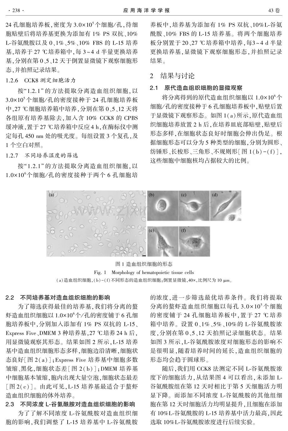 四脊滑螯虾造血组织细胞培养条件的优化.pdf_第3页