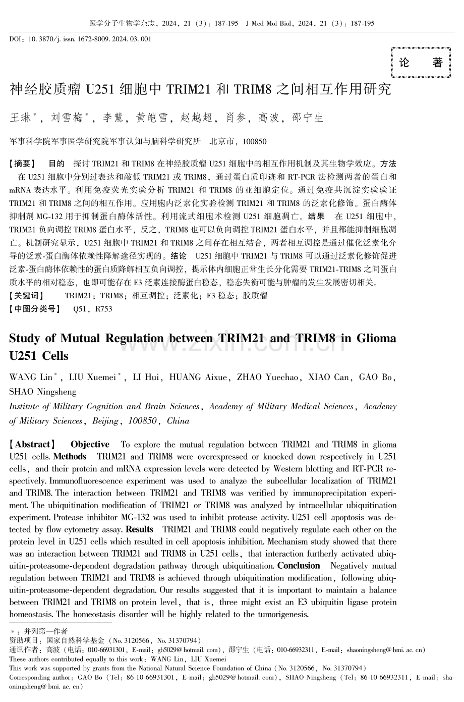 神经胶质瘤U251细胞中TRIM21和TRIM8之间相互作用研究.pdf_第1页