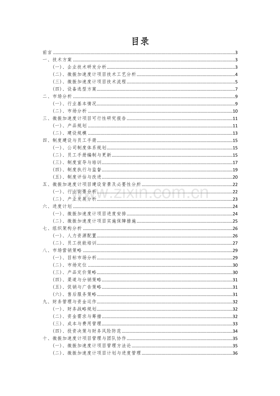 2024年微振加速度计项目可行性研究报告.docx_第2页