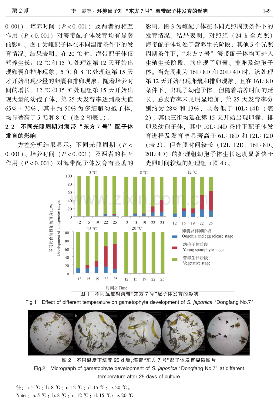 环境因子对“东方7号”海带配子体发育的影响.pdf_第3页