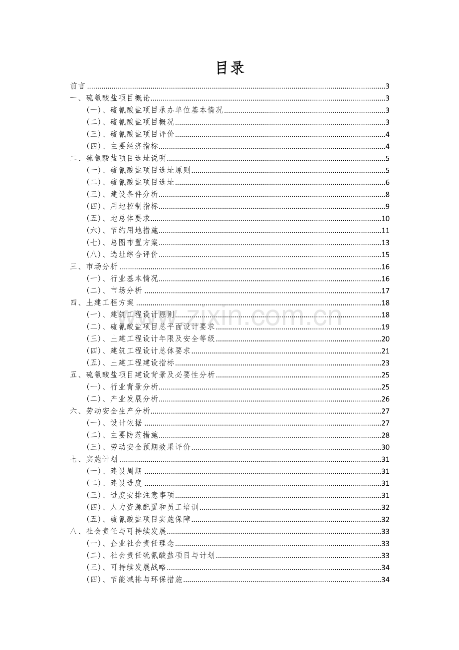 2024年硫氰酸盐项目可行性分析报告.docx_第2页