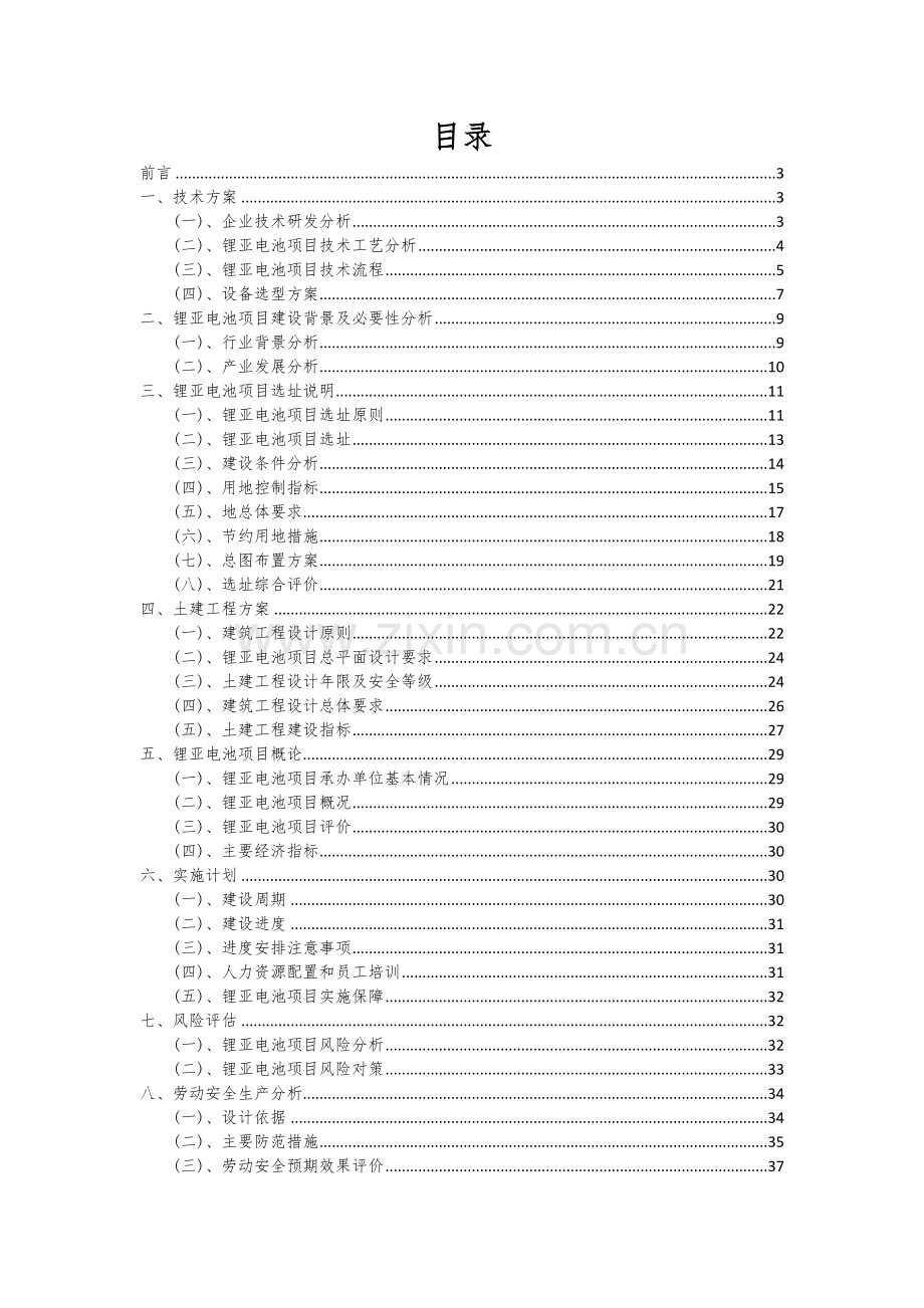 2024年锂亚电池项目可行性研究报告.docx_第2页