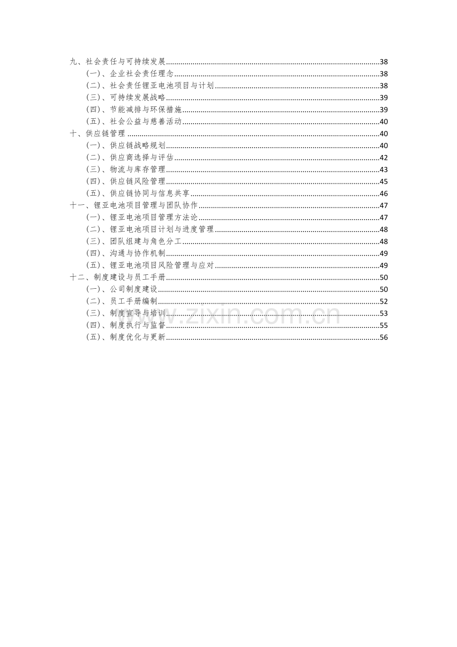 2024年锂亚电池项目可行性研究报告.docx_第3页