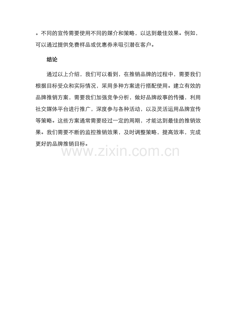 品牌推销方案.docx_第3页