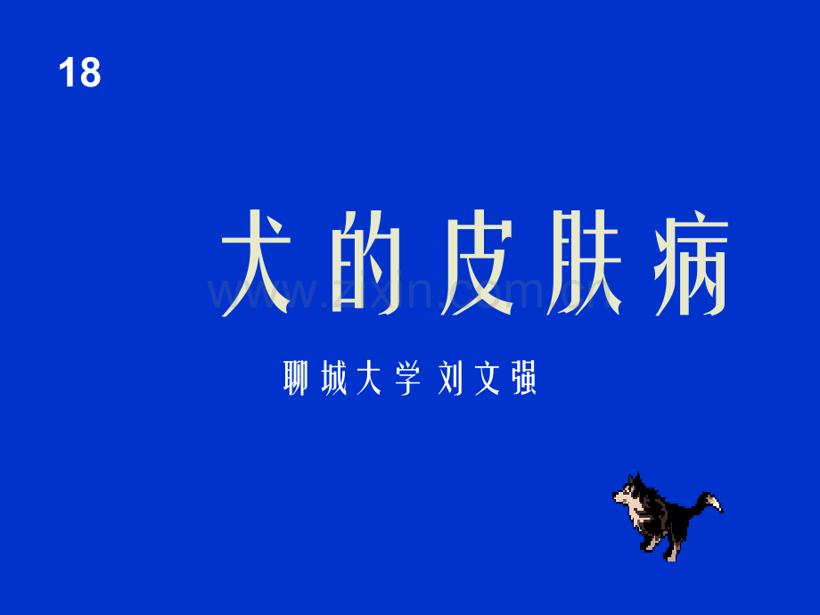 犬的皮肤病.ppt_第1页