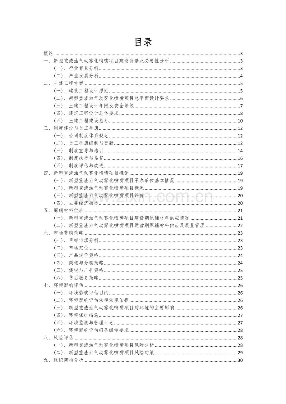 2024年新型重渣油气动雾化喷嘴项目可行性分析报告.docx_第2页