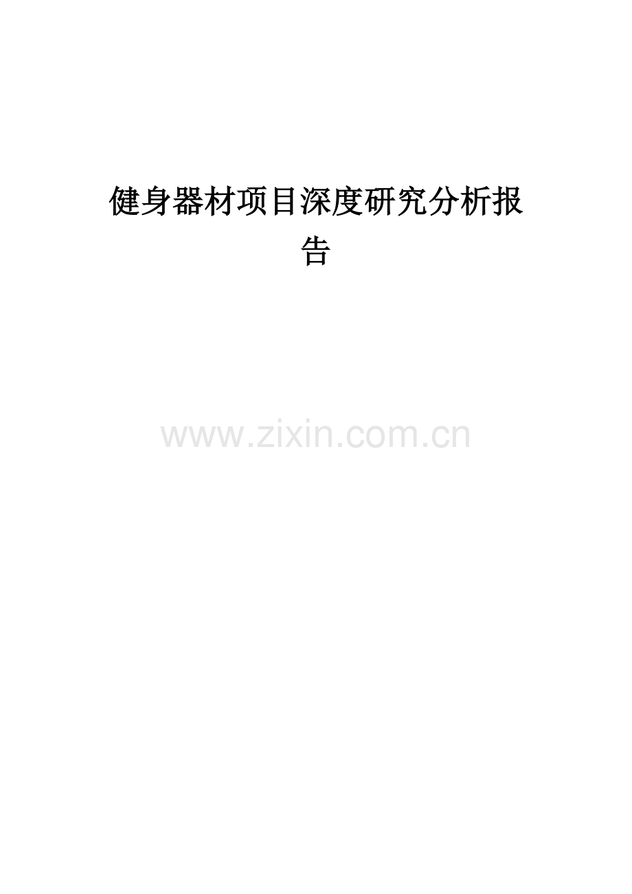 2024年健身器材项目深度研究分析报告.docx_第1页