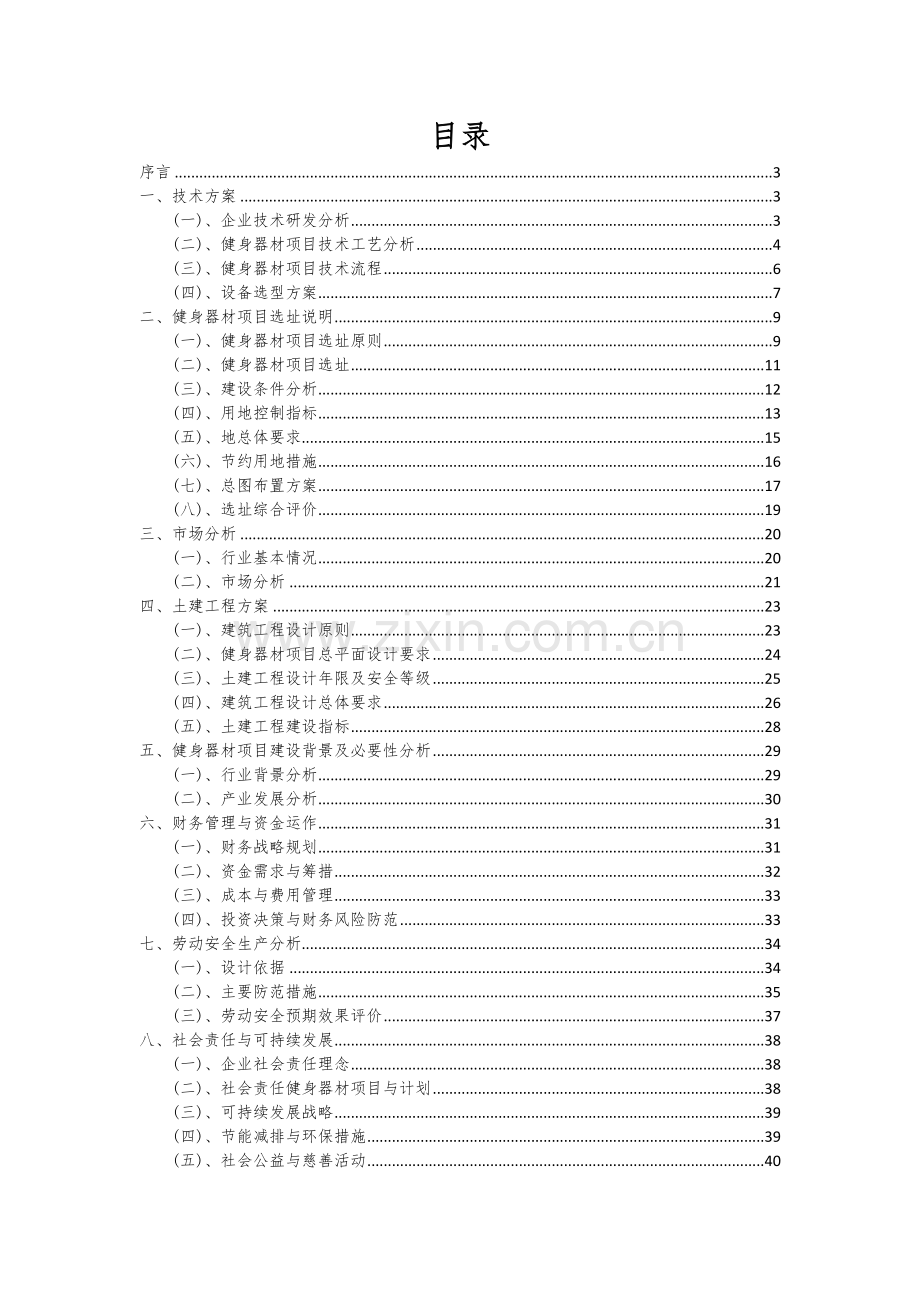 2024年健身器材项目深度研究分析报告.docx_第2页