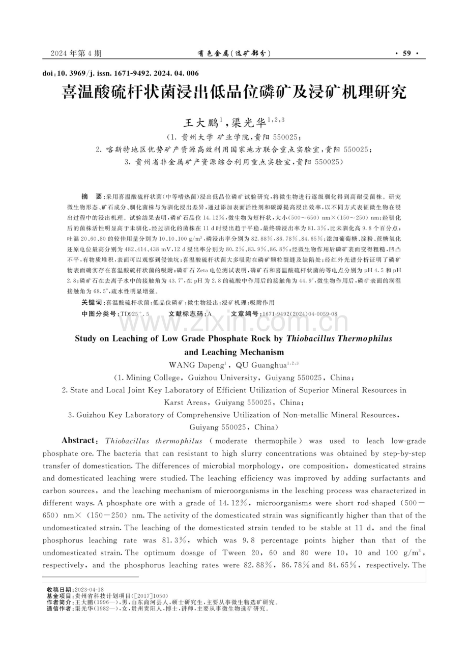 喜温酸硫杆状菌浸出低品位磷矿及浸矿机理研究.pdf_第1页