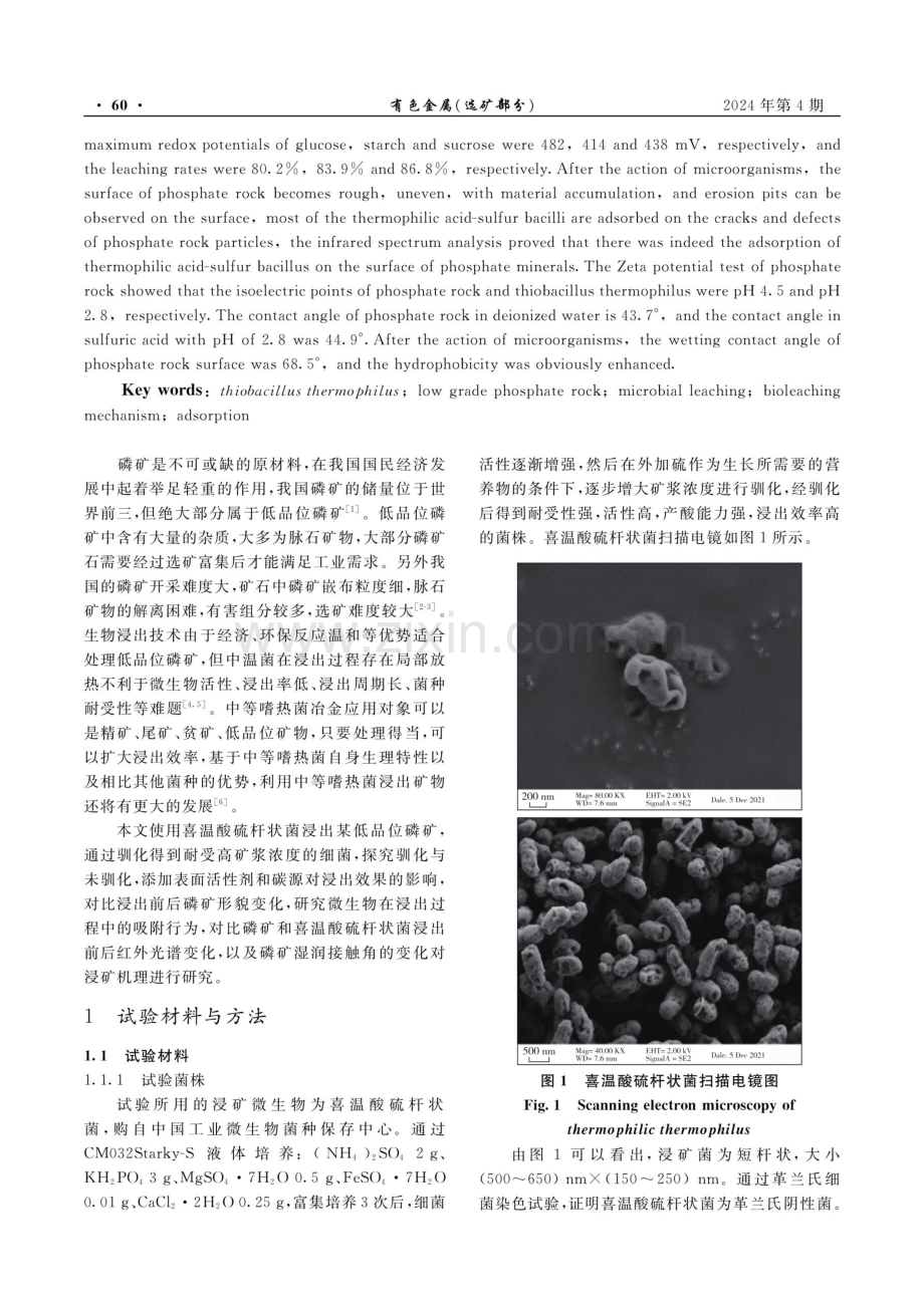 喜温酸硫杆状菌浸出低品位磷矿及浸矿机理研究.pdf_第2页