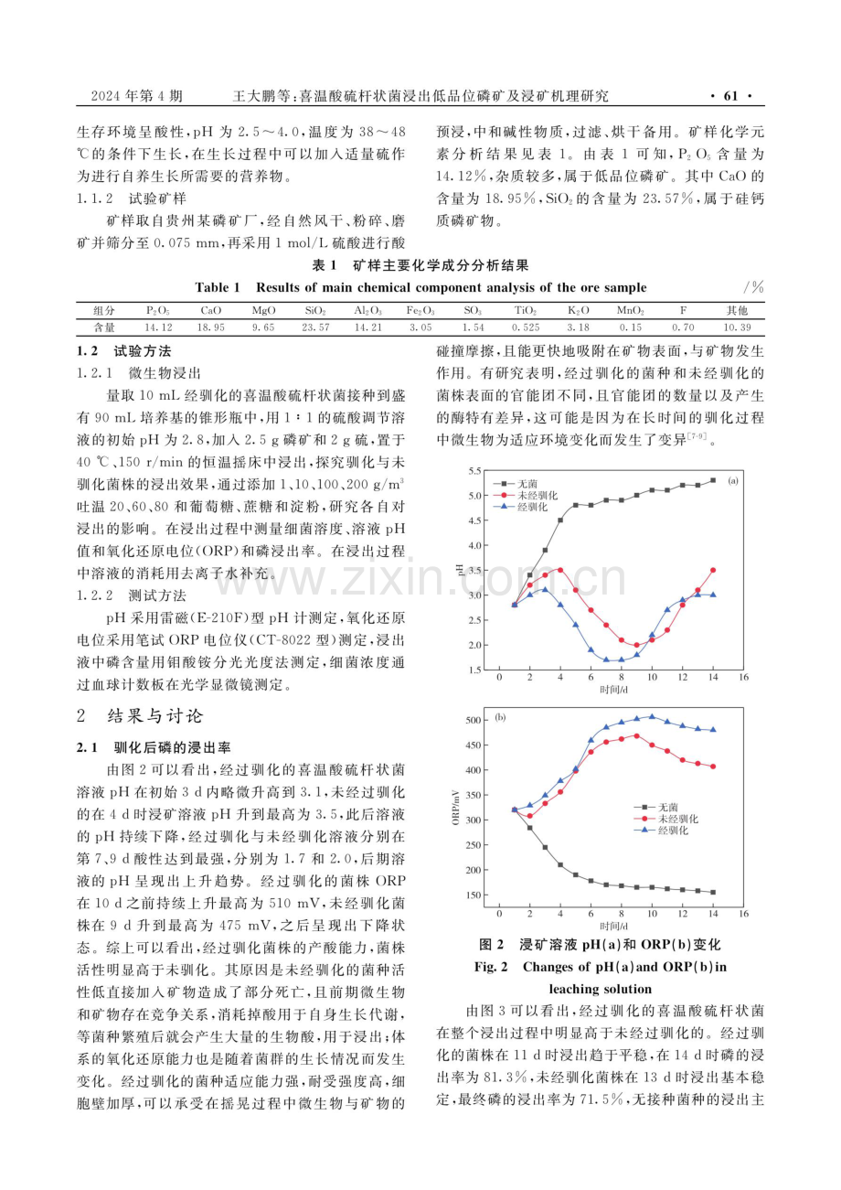 喜温酸硫杆状菌浸出低品位磷矿及浸矿机理研究.pdf_第3页