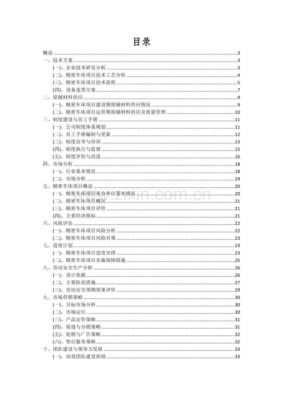 2024年精密车床项目可行性分析报告.docx_第2页