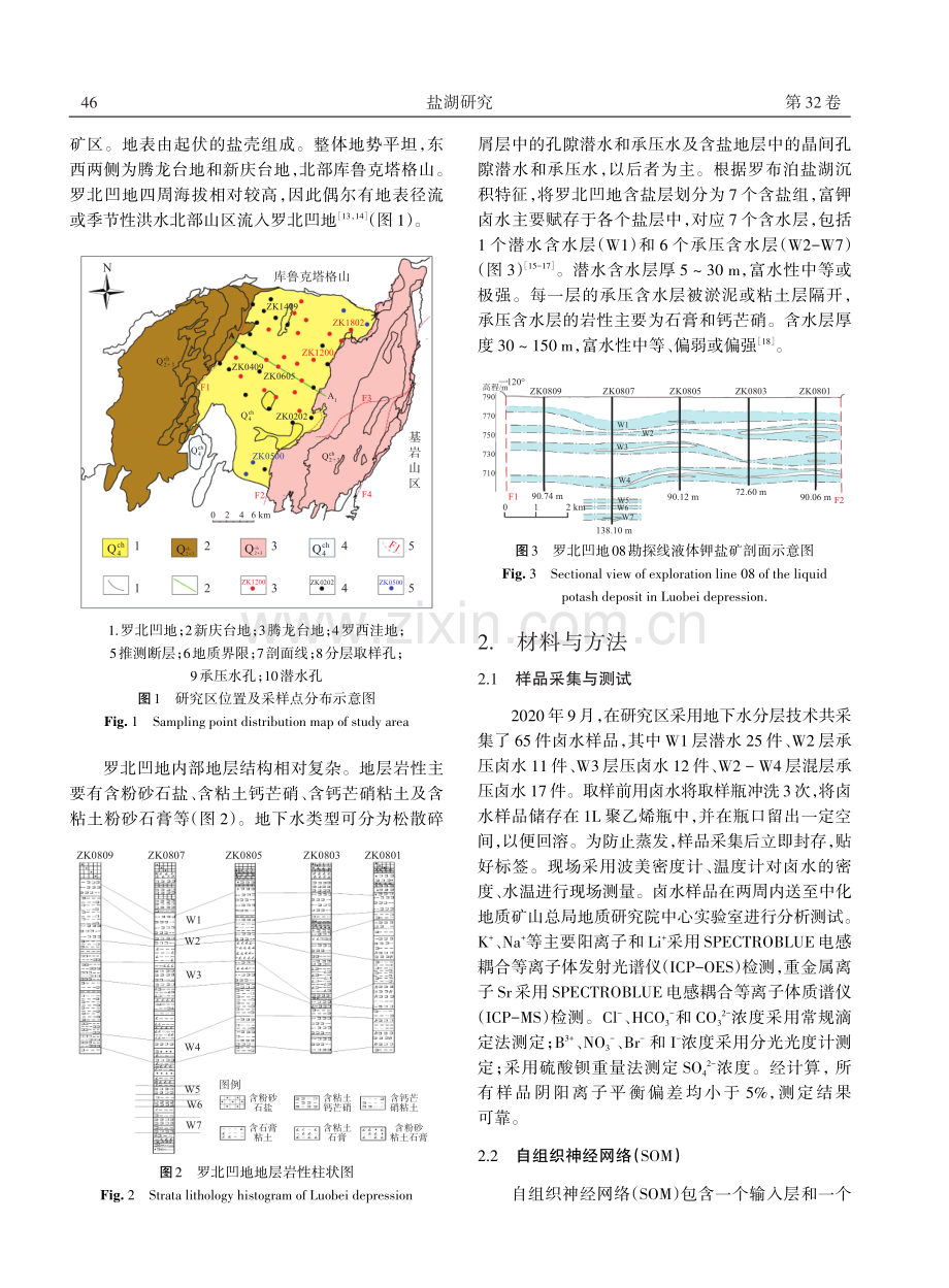 罗北凹地富钾卤水中锂、硼的空间分布和富集规律研究.pdf_第2页