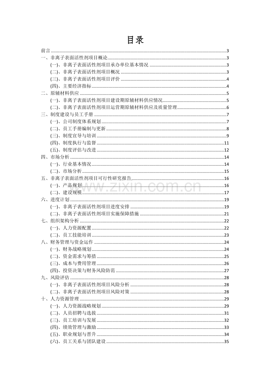 2024年非离子表面活性剂项目可行性研究报告.docx_第2页