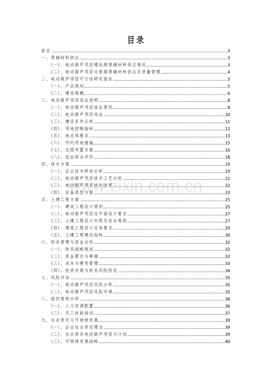 2024年电动葫芦项目投资分析及可行性报告.docx_第2页