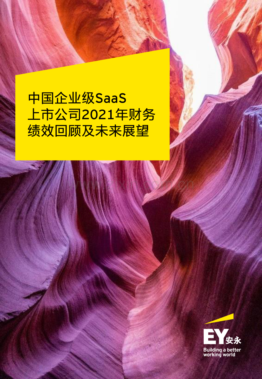 中国企业级SaaS上市公司2021年财务绩效回顾及未来展望.pdf_第1页