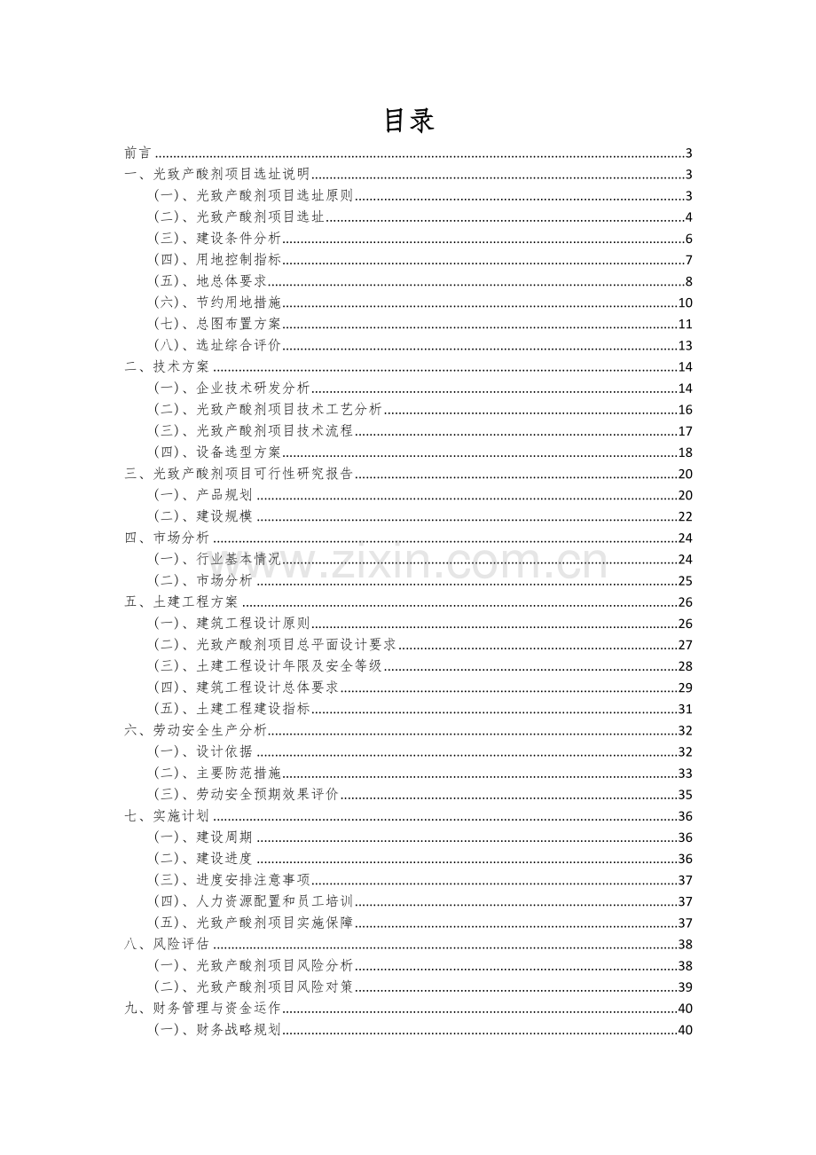 2024年光致产酸剂项目可行性分析报告.docx_第2页