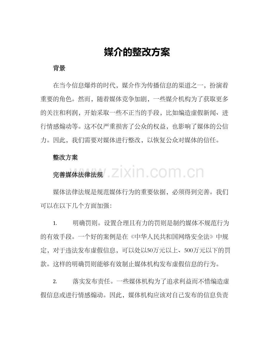 媒介的整改方案.docx_第1页