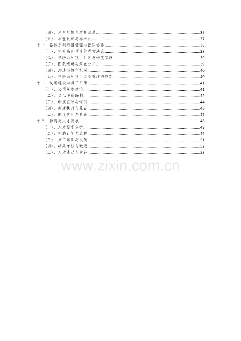 2024年铬粉系列项目可行性研究报告.docx_第3页