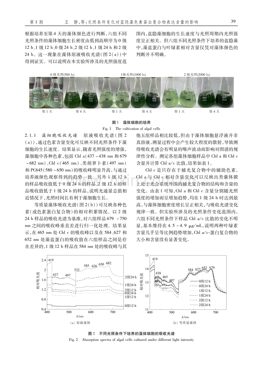 光照条件变化对蓝隐藻色素蛋白复合物表达含量的影响.pdf_第3页