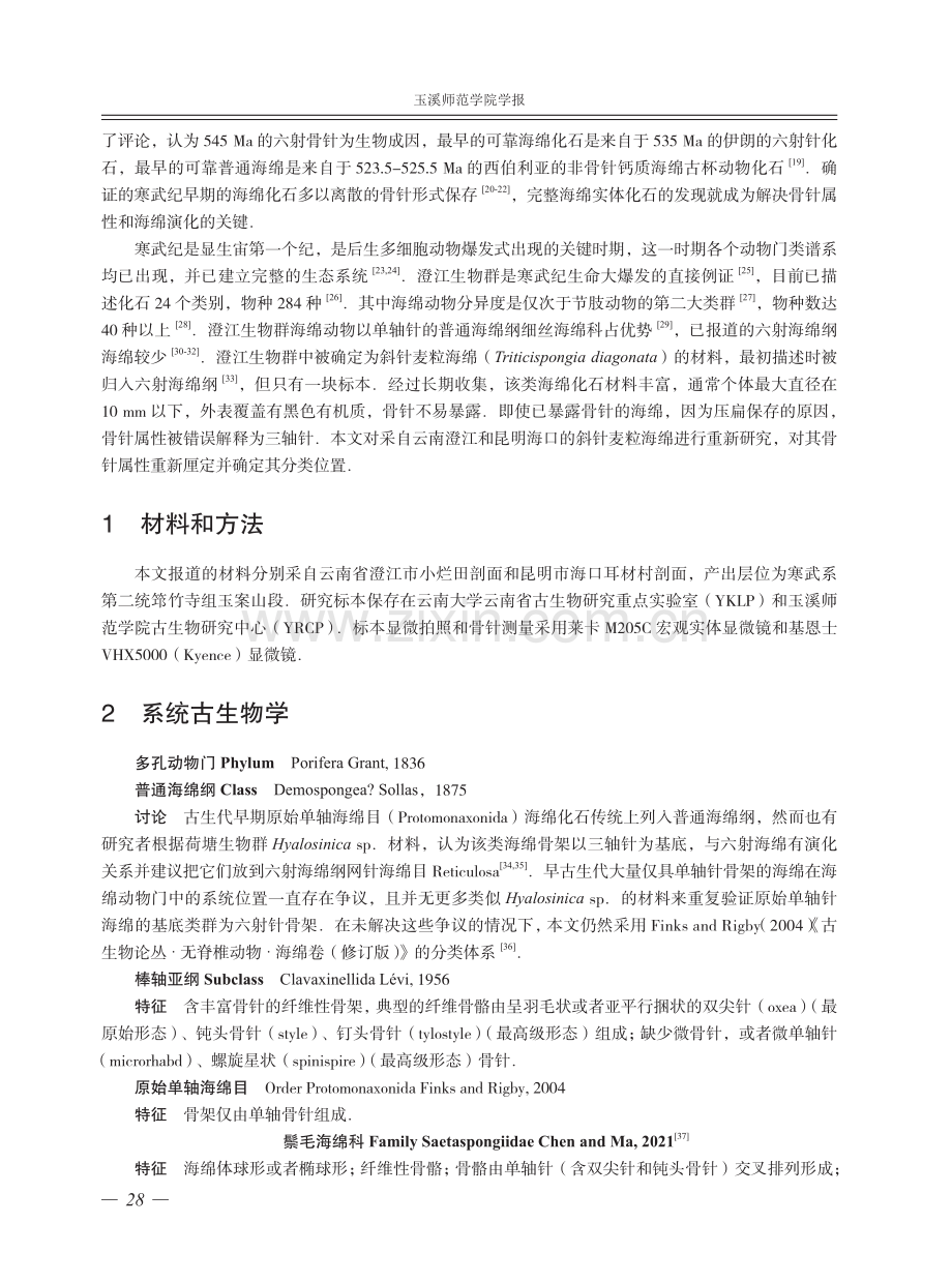 澄江生物群斜针麦粒海绵异物同名研究.pdf_第2页