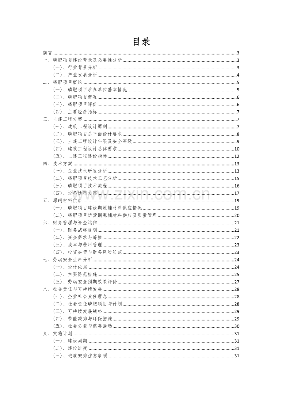 2024年磷肥项目投资分析及可行性报告.docx_第2页