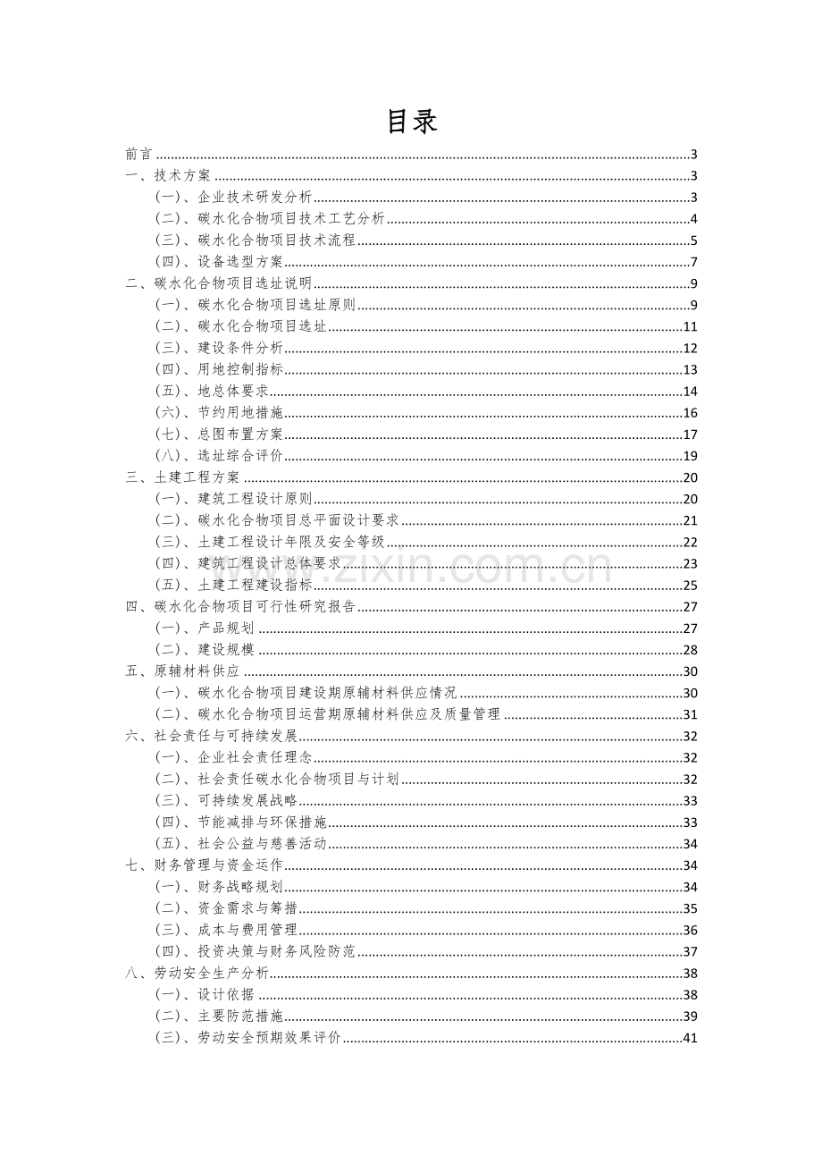 2024年碳水化合物项目深度研究分析报告.docx_第2页