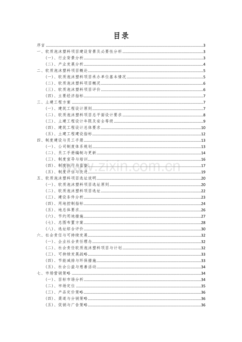 2024年软质泡沫塑料项目可行性分析报告.docx_第2页