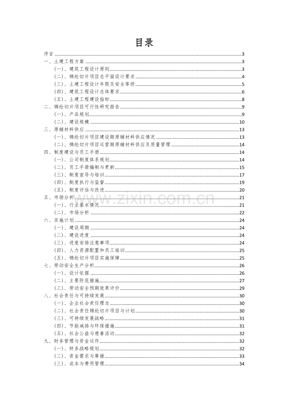 2024年锦纶切片项目可行性分析报告.docx_第2页