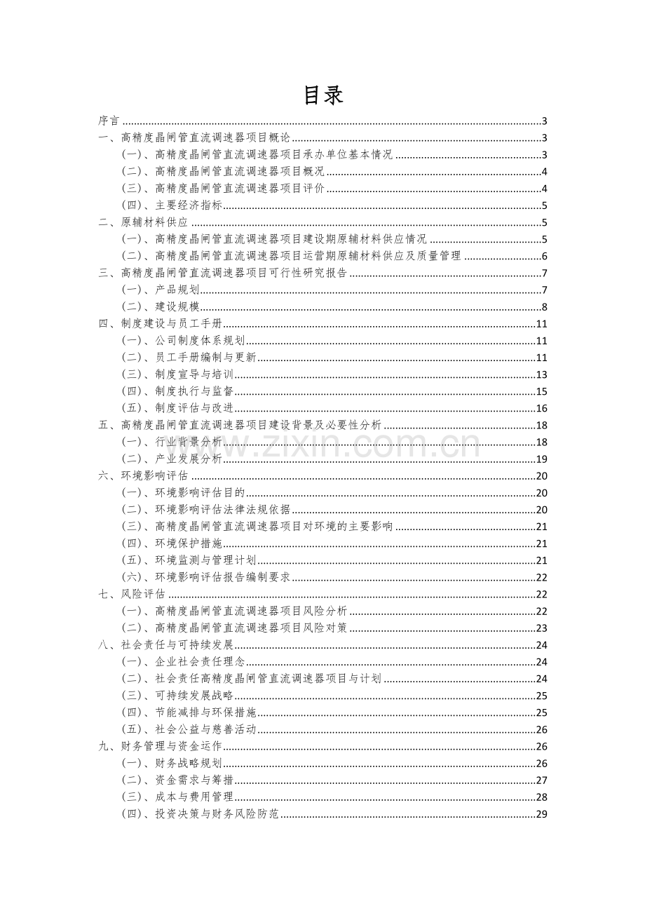 2024年高精度晶闸管直流调速器项目投资分析及可行性报告.docx_第2页