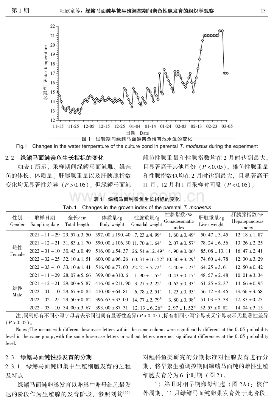 绿鳍马面鲀早繁生殖调控期间亲鱼性腺发育的组织学观察.pdf_第3页