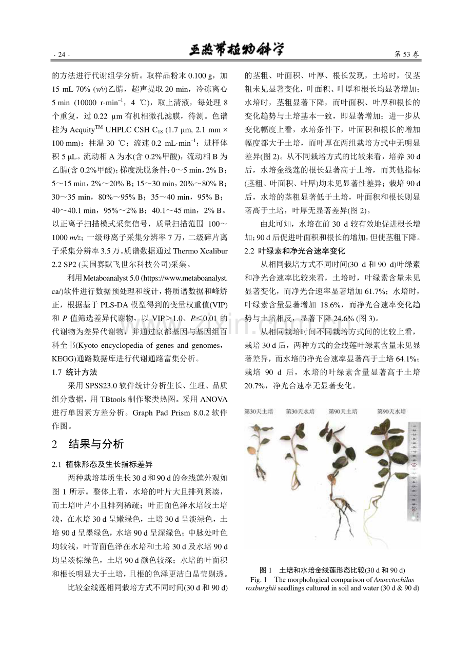 水培与泥炭土培金线莲生长及代谢差异比较.pdf_第3页