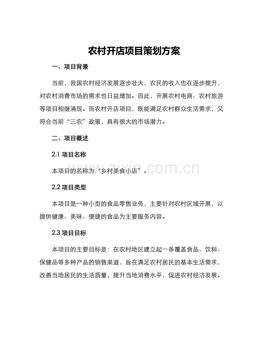 农村开店项目策划方案.docx_第1页