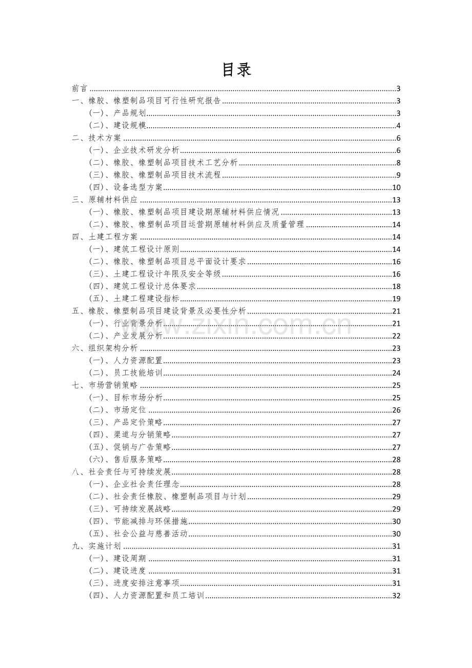 2024年橡胶、橡塑制品项目可行性研究报告.docx_第2页