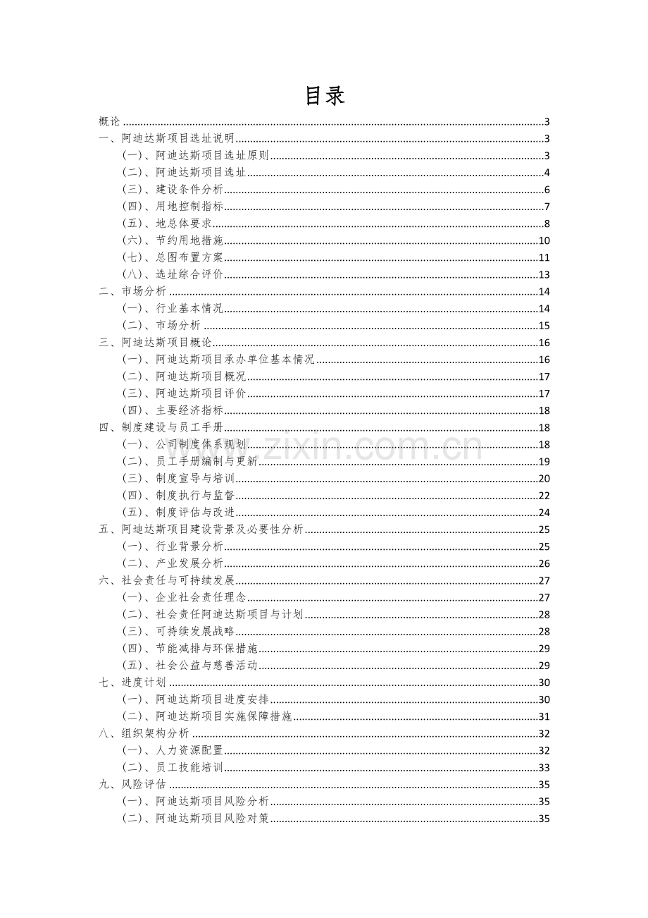 2024年阿迪达斯项目深度研究分析报告.docx_第2页