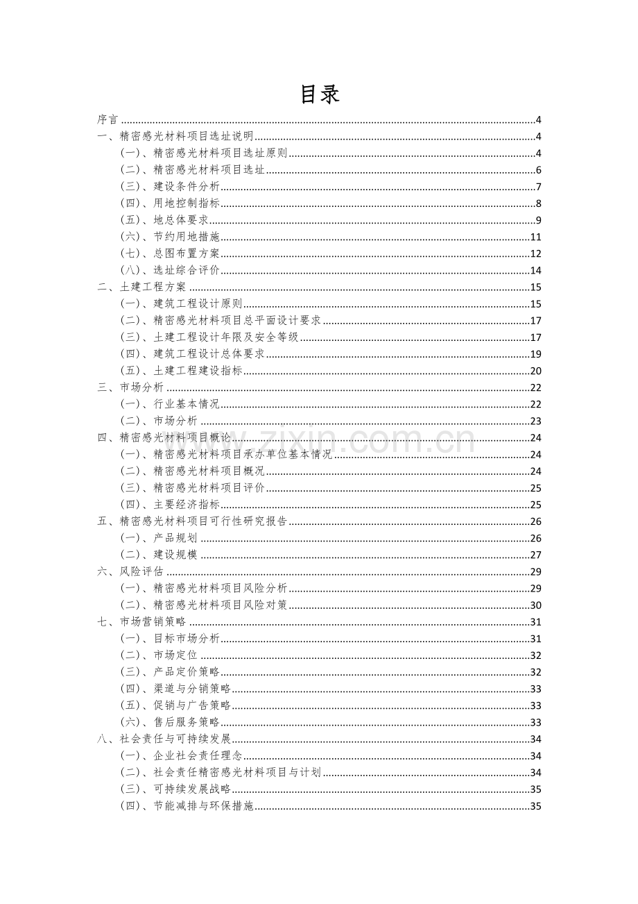 2024年精密感光材料项目可行性分析报告.docx_第2页