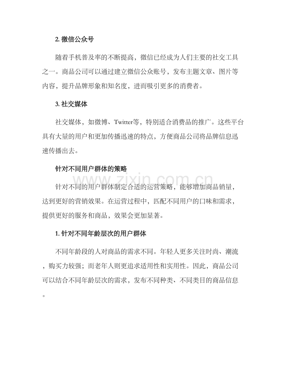 商品公司运营方案.docx_第3页