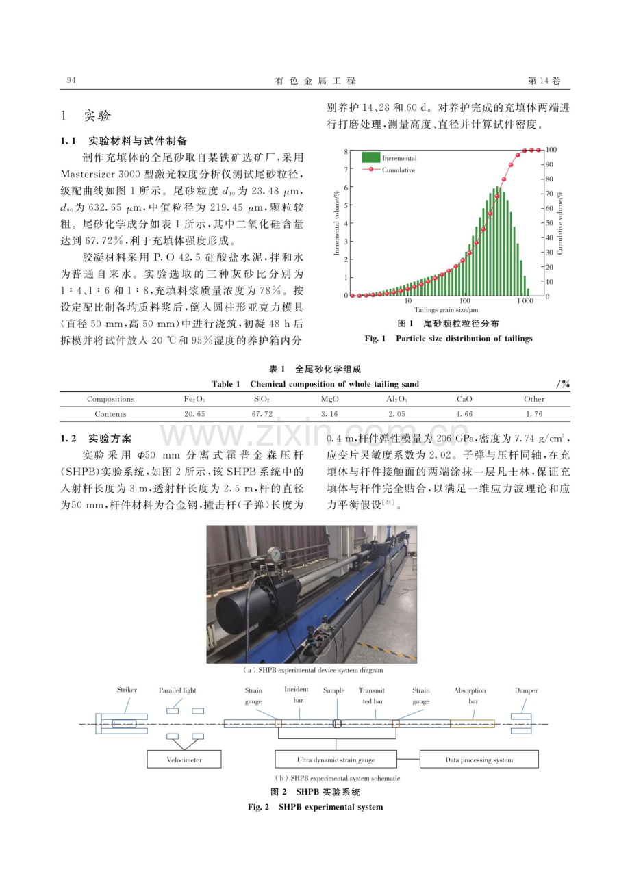 基于CSSA-BPNN模型的胶结充填体动态抗压强度预测.pdf_第3页