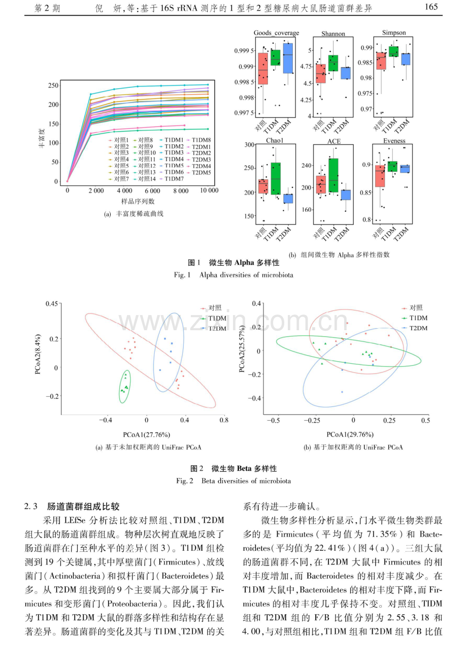 基于16S rRNA测序的1型和2型糖尿病大鼠肠道菌群差异.pdf_第3页