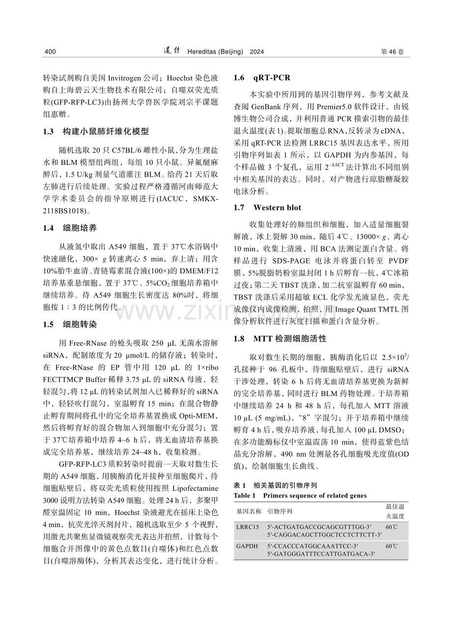 LRRC15影响A549细胞自噬的作用研究.pdf_第3页