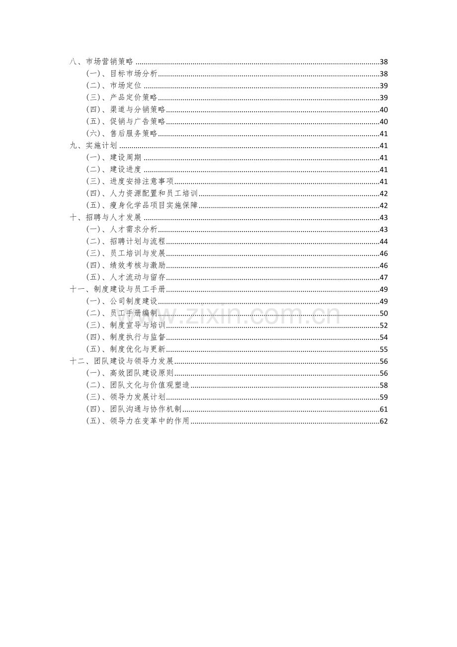 2024年瘦身化学品项目投资分析及可行性报告.docx_第3页