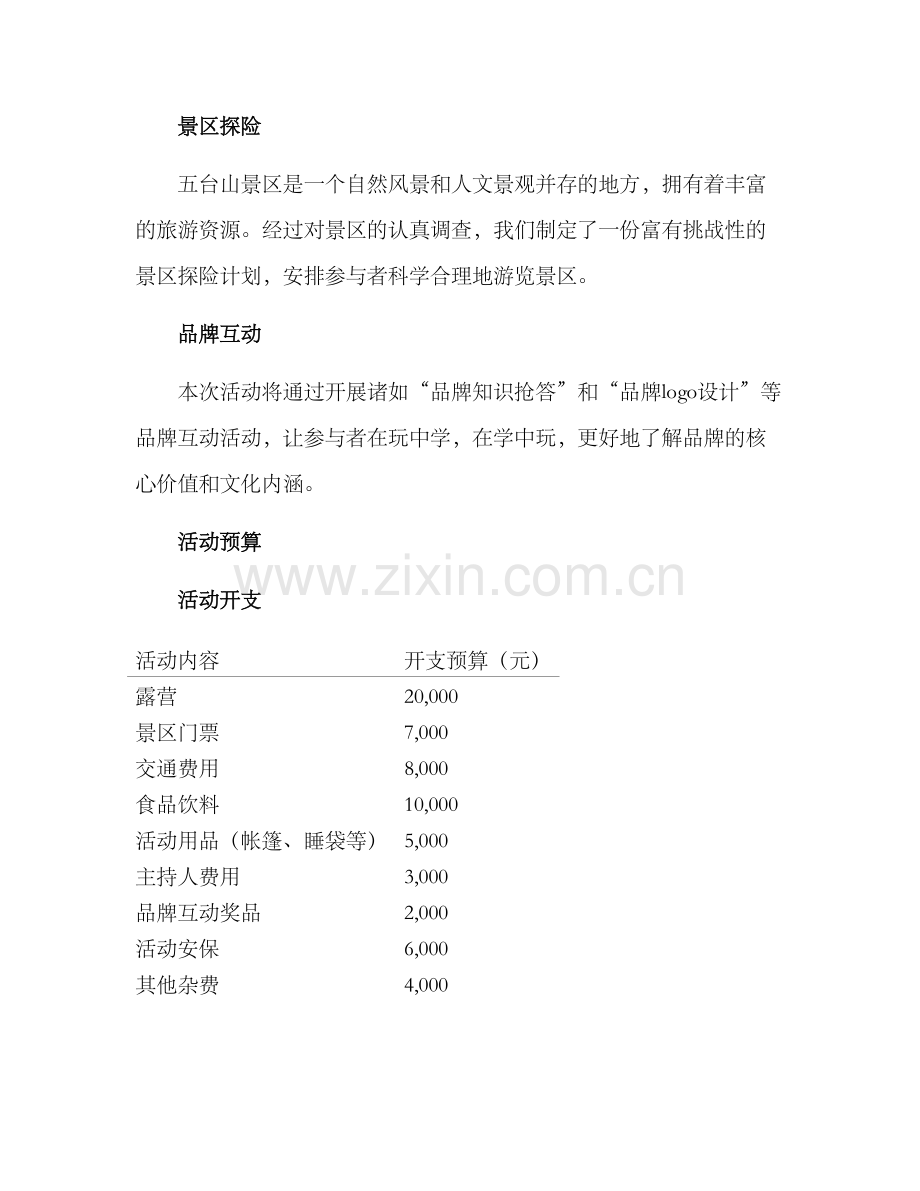 品牌露营策划方案.docx_第2页