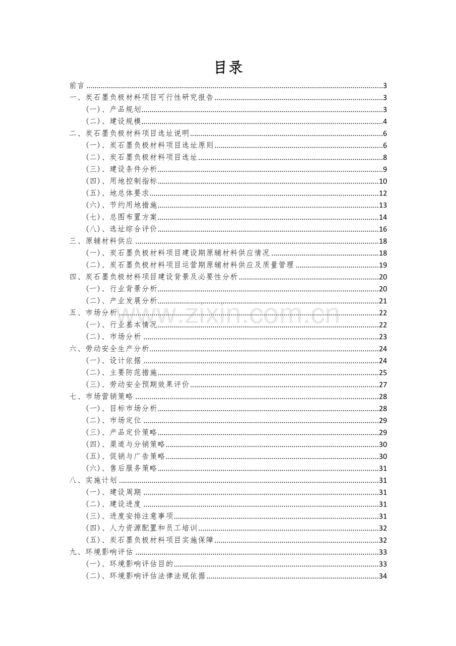 2024年炭石墨负极材料项目可行性研究报告.docx_第2页