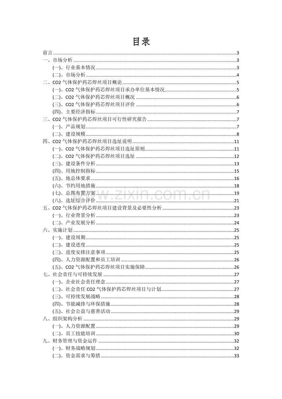 2024年CO2气体保护药芯焊丝项目可行性分析报告.docx_第2页