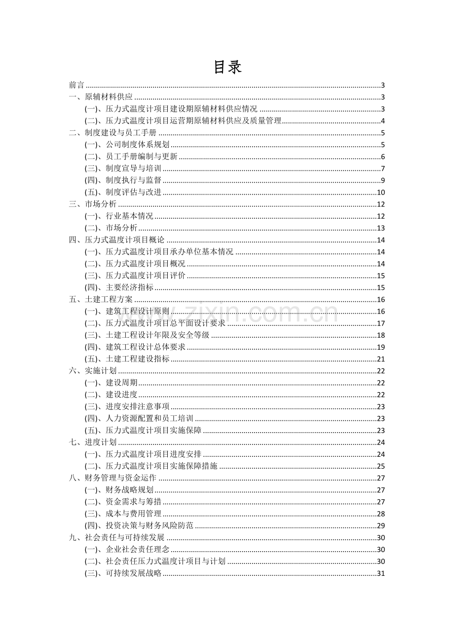 2024年压力式温度计项目可行性分析报告.docx_第2页