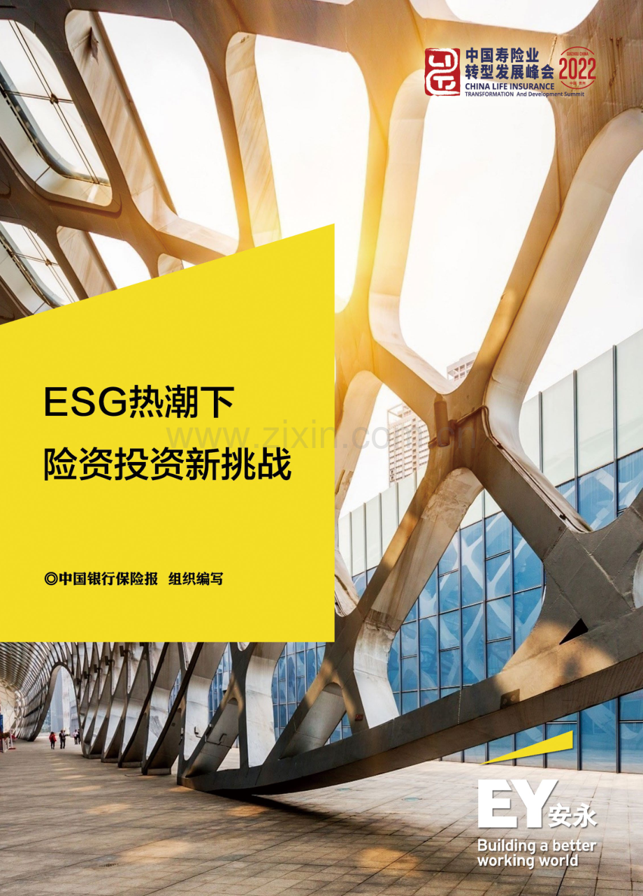 ESG热潮下险资投资新挑战.pdf_第1页