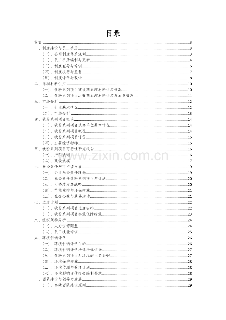 2024年钛粉系列项目深度研究分析报告.docx_第2页