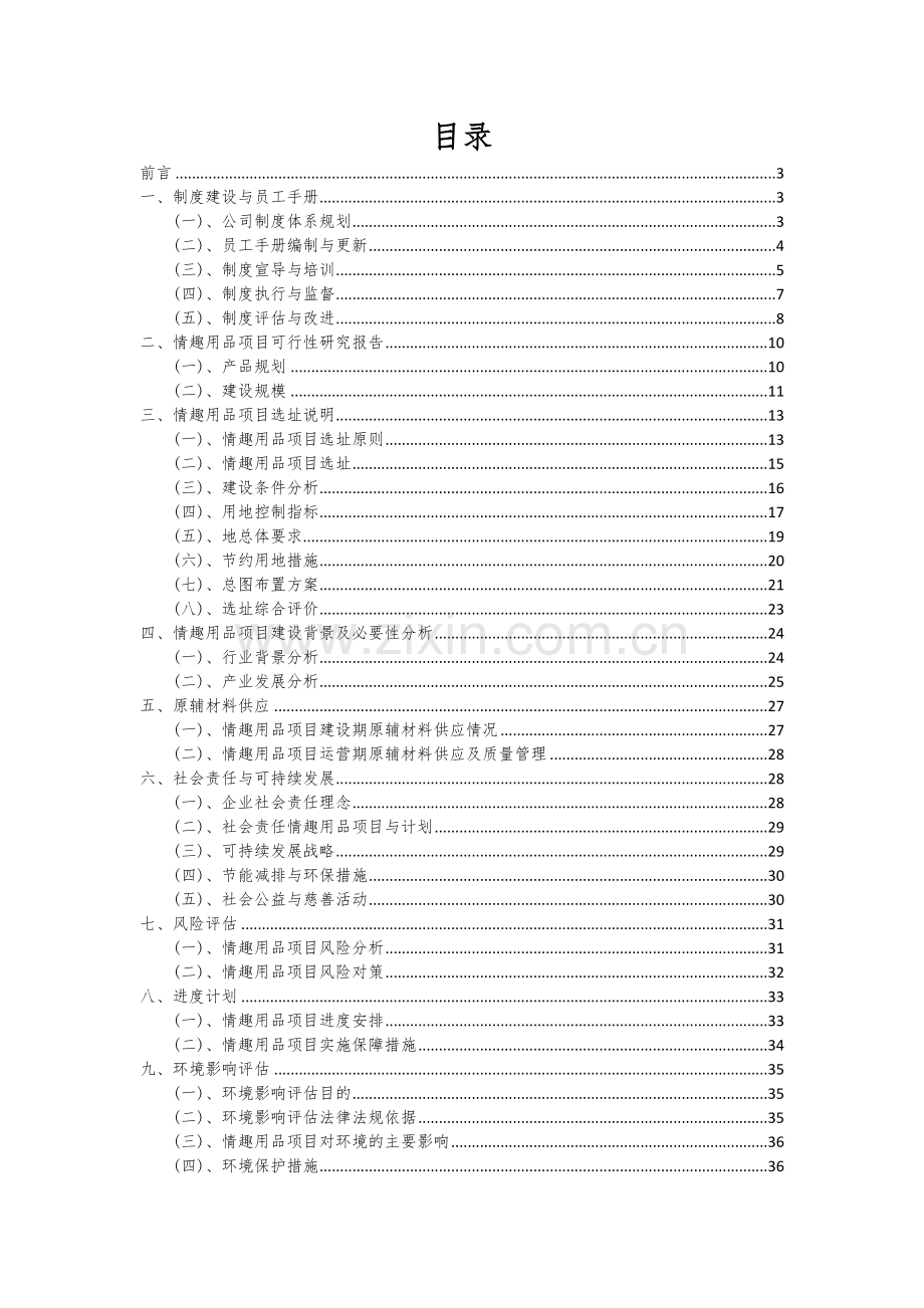 2024年情趣用品项目投资分析及可行性报告.docx_第2页