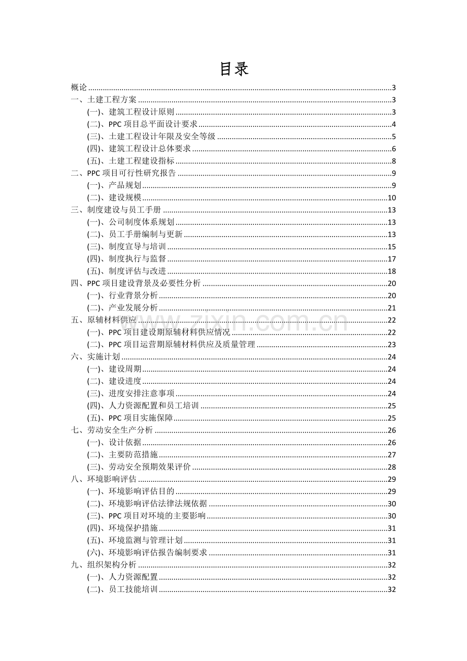 2024年PPC项目投资分析及可行性报告.docx_第2页