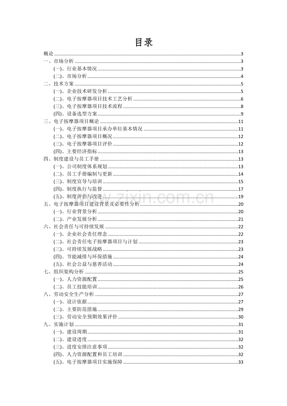 2024年电子按摩器项目投资分析及可行性报告.docx_第2页